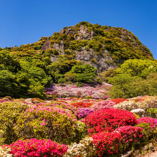 22年 武雄の遊園地 テーマパークで行きたい 武雄旅行で人気のおすすめスポット Yahoo トラベル 22年 武雄の遊園地 テーマパークで行きたい 武雄旅行で人気のおすすめスポット Yahoo トラベル