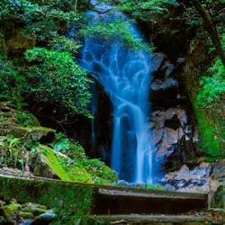 22年 唐津 呼子で人気の観光 お出かけスポット 30選 Yahoo トラベル 22年 唐津 呼子で人気の観光 お出かけスポット 30選 Yahoo トラベル