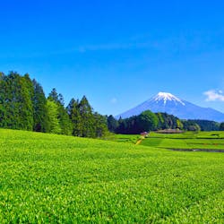 22年 御殿場で人気の観光 お出かけスポット 30選 Yahoo トラベル 22年 御殿場で人気の観光 お出かけスポット 30選 Yahoo トラベル