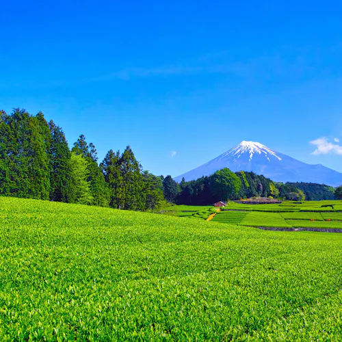 22年 富士で人気の観光 お出かけスポット 25選 Yahoo トラベル 22年 富士で人気の観光 お出かけスポット 25選 Yahoo トラベル