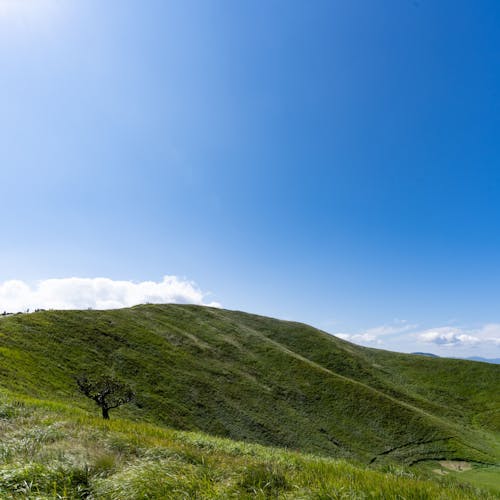 21年 伊豆高原で人気の観光 お出かけスポット 30選 Yahoo トラベル 21年 伊豆高原で人気の観光 お出かけスポット 30選 Yahoo トラベル