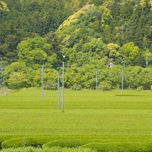 21年 掛川で人気の観光 お出かけスポット 22選 Yahoo トラベル 21年 掛川で人気の観光 お出かけスポット 22選 Yahoo トラベル