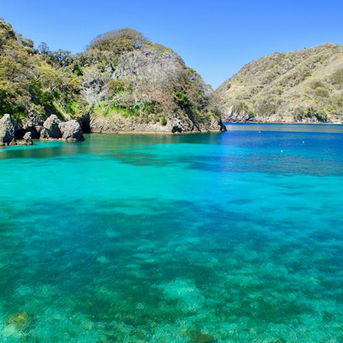 22年 西伊豆で人気の観光 お出かけスポット 30選 Yahoo トラベル 22年 西伊豆で人気の観光 お出かけスポット 30選 Yahoo トラベル