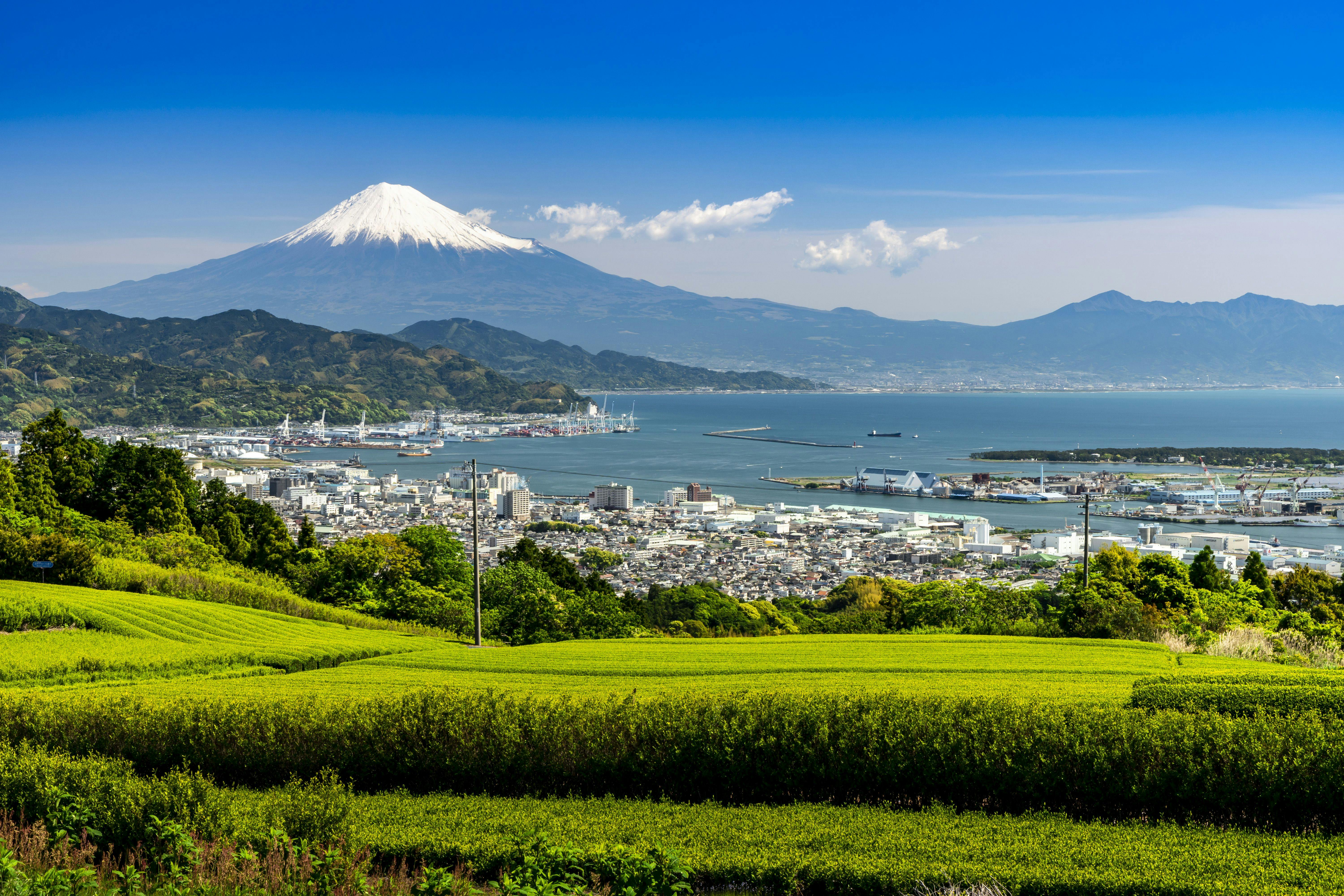 22年 静岡市 清水市で人気の観光 お出かけスポット 30選 Yahoo トラベル