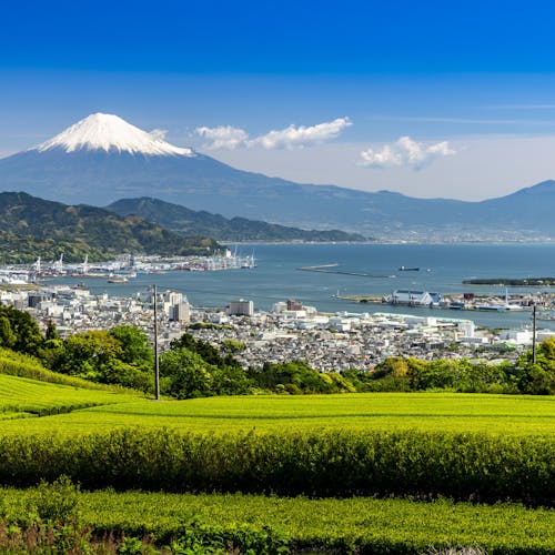 22年 静岡市 清水市で人気の観光 お出かけスポット 30選 Yahoo トラベル 22年 静岡市 清水市で人気の観光 お出かけスポット 30選 Yahoo トラベル