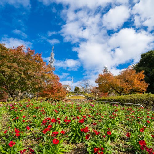 22年 徳島市で人気の観光 お出かけスポット 30選 Yahoo トラベル 22年 徳島市で人気の観光 お出かけスポット 30選 Yahoo トラベル
