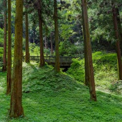 22年 吉祥寺で人気の観光 お出かけスポット 26選 Yahoo トラベル 22年 吉祥寺で人気の観光 お出かけスポット 26選 Yahoo トラベル