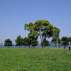 22年 品川で人気の観光 お出かけスポット 29選 Yahoo トラベル 22年 品川で人気の観光 お出かけスポット 29選 Yahoo トラベル