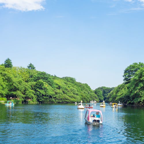 22年 吉祥寺で人気の観光 お出かけスポット 26選 Yahoo トラベル 22年 吉祥寺で人気の観光 お出かけスポット 26選 Yahoo トラベル