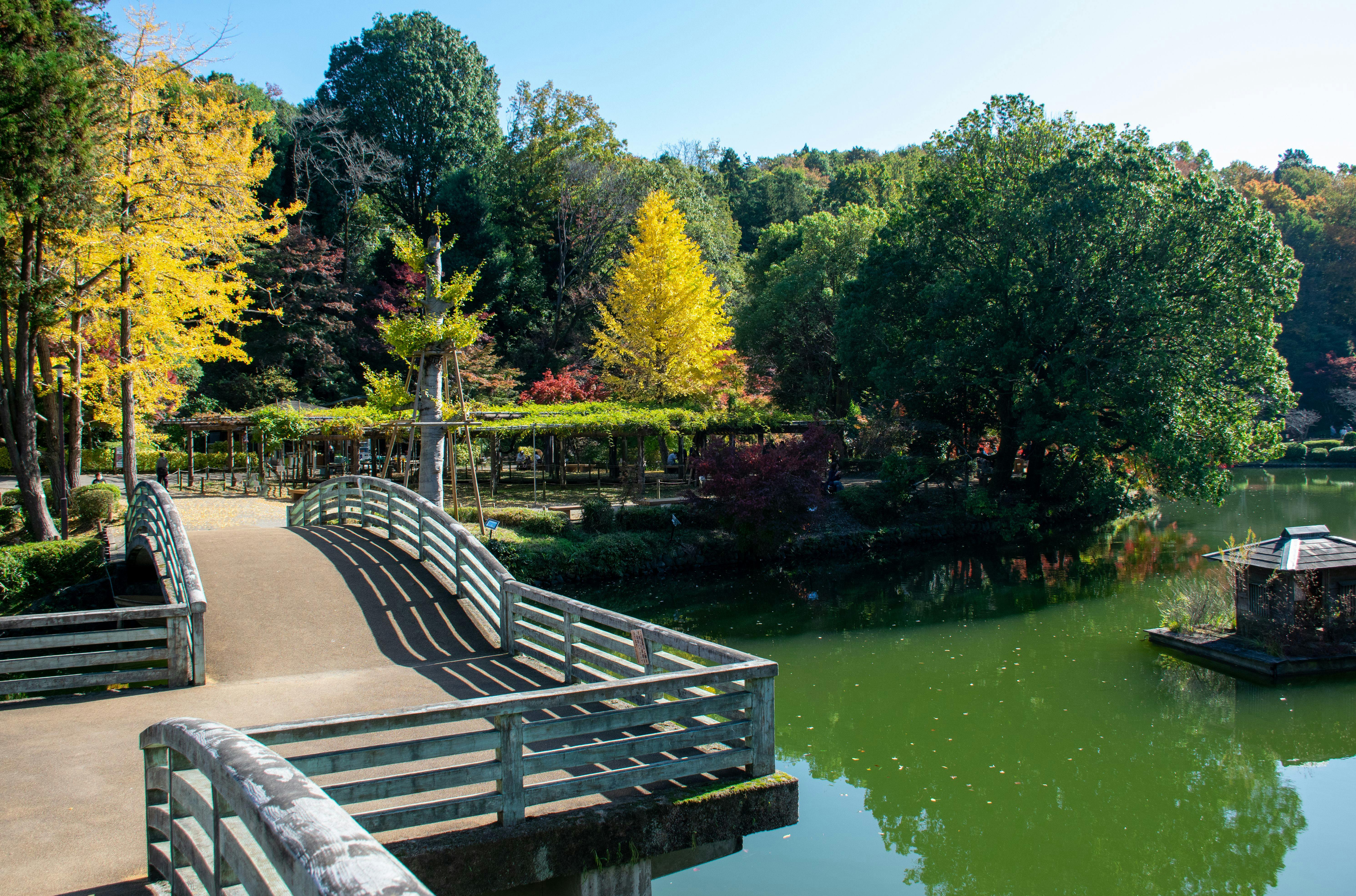 22年 吉祥寺で人気の観光 お出かけスポット 26選 Yahoo トラベル