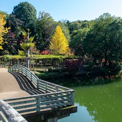 22年 吉祥寺で人気の観光 お出かけスポット 26選 Yahoo トラベル 22年 吉祥寺で人気の観光 お出かけスポット 26選 Yahoo トラベル