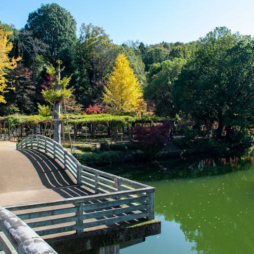 22年 町田で人気の観光 お出かけスポット 30選 Yahoo トラベル 22年 町田で人気の観光 お出かけスポット 30選 Yahoo トラベル