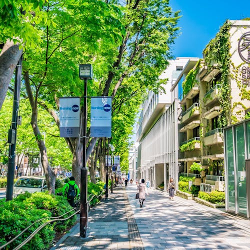 22年 表参道で人気の観光 お出かけスポット 30選 Yahoo トラベル 22年 表参道で人気の観光 お出かけスポット 30選 Yahoo トラベル