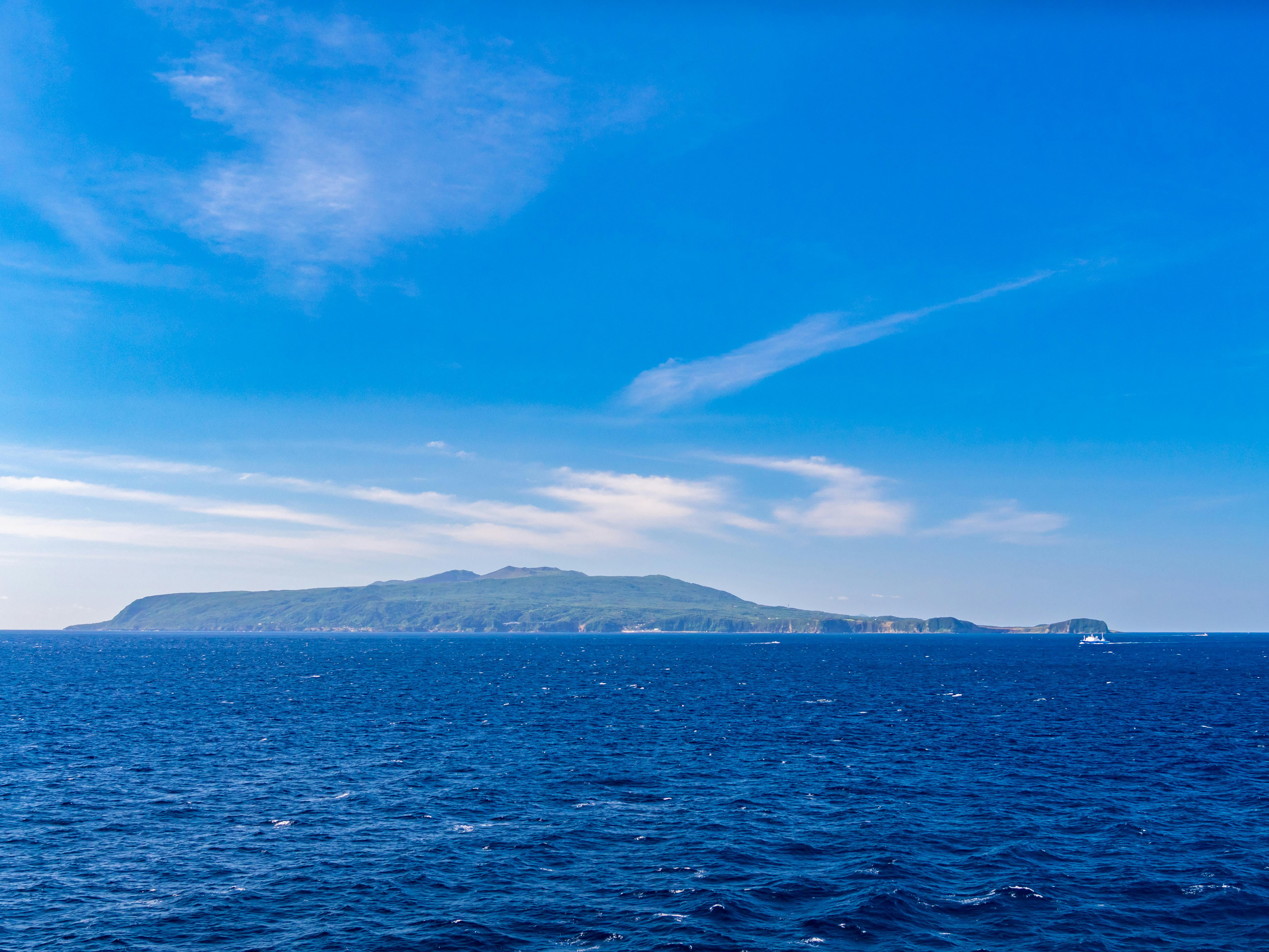 大島 ロッド main.chu.jp