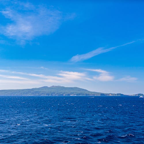 22年 大島で人気の観光 お出かけスポット 選 Yahoo トラベル 22年 大島で人気の観光 お出かけスポット 選 Yahoo トラベル