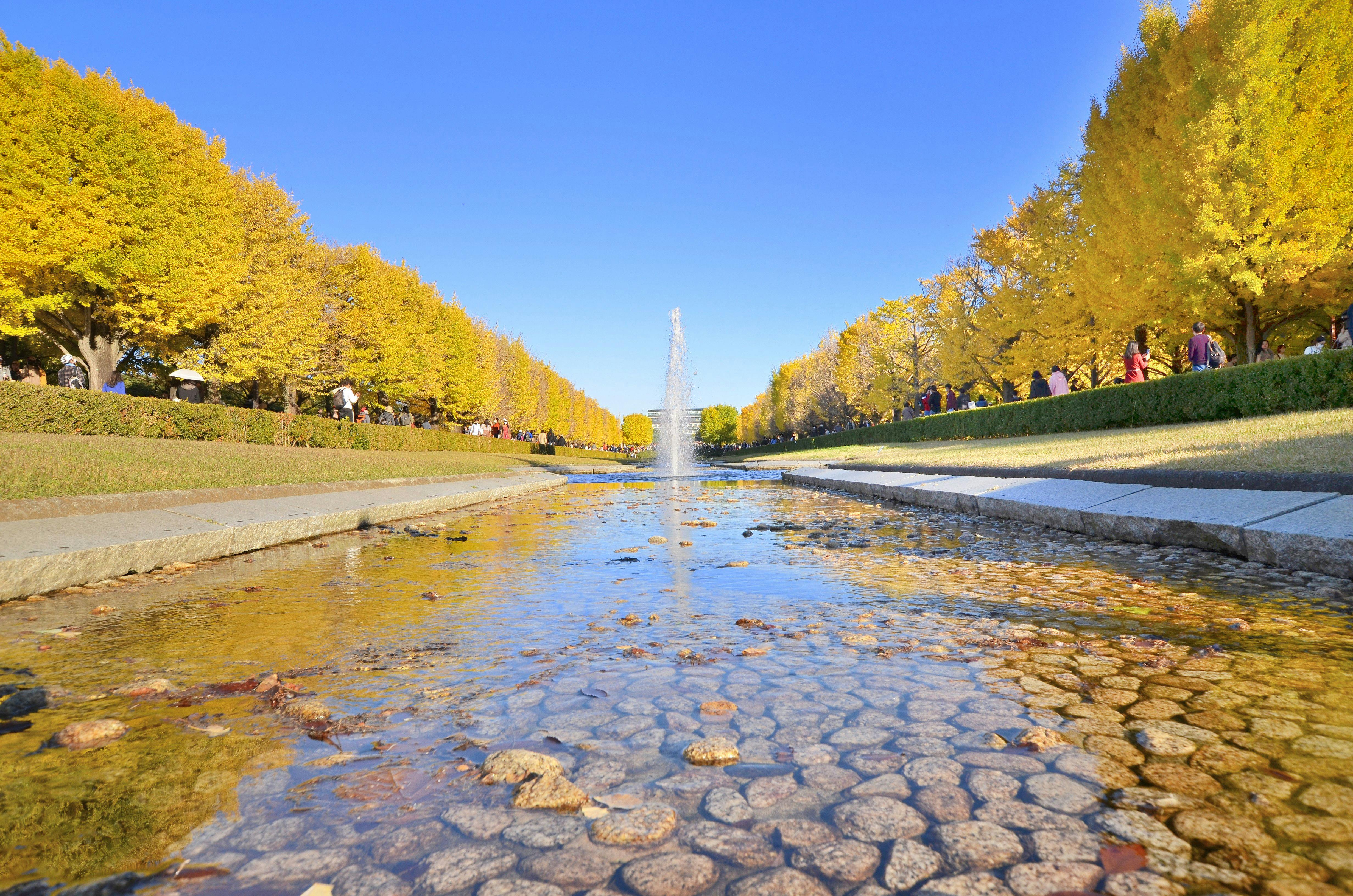 22年 吉祥寺で人気の観光 お出かけスポット 26選 Yahoo トラベル