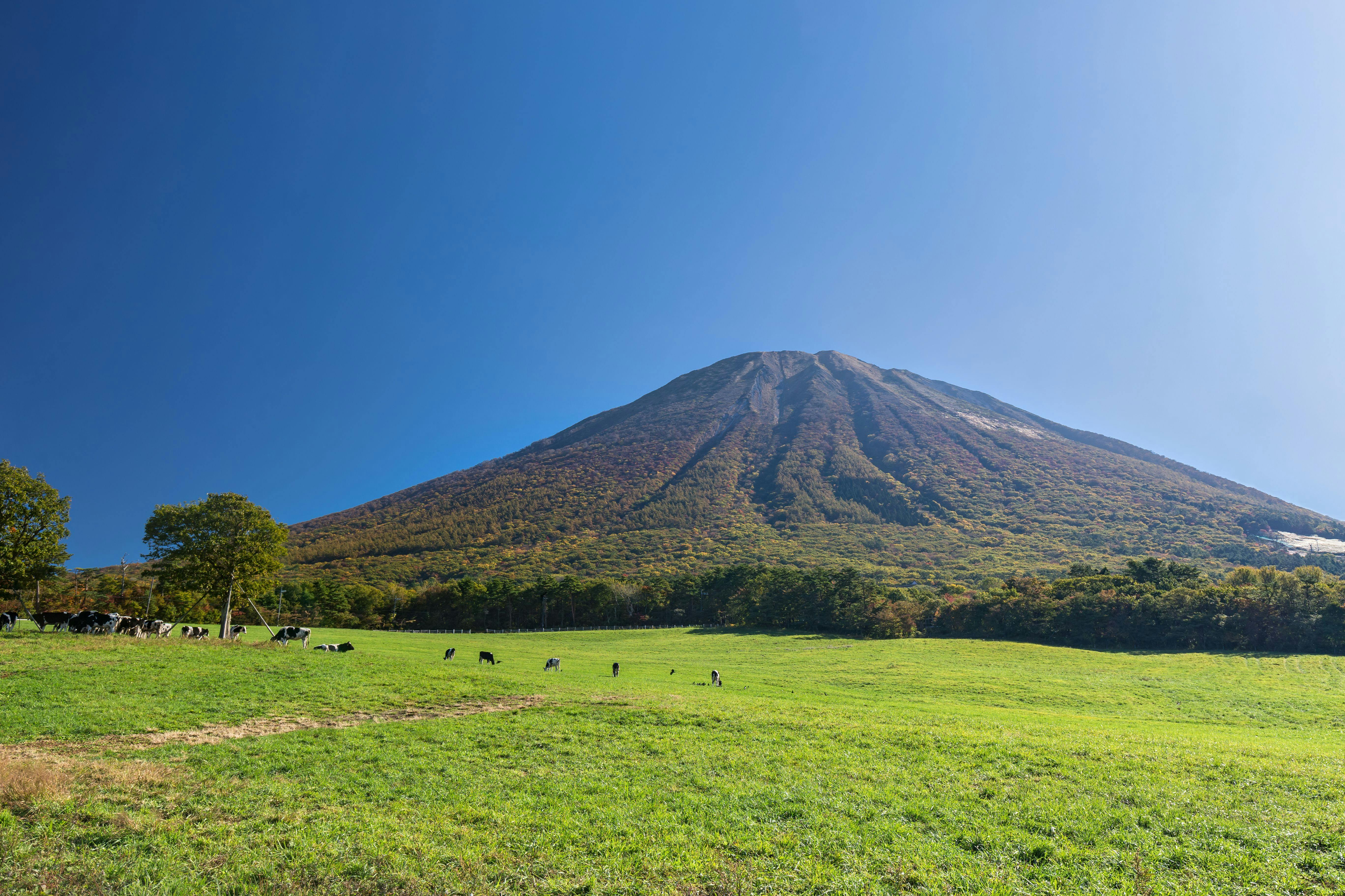 22年 大山で人気の観光 お出かけスポット 25選 Yahoo トラベル