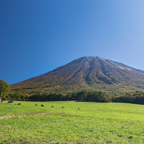 22年 大山で人気の観光 お出かけスポット 25選 Yahoo トラベル 22年 大山で人気の観光 お出かけスポット 25選 Yahoo トラベル