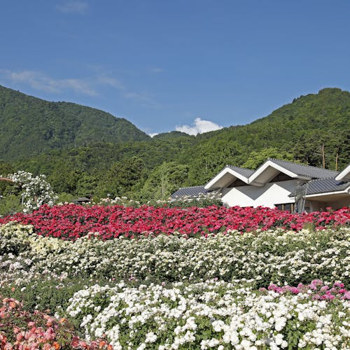 22年 下部で人気の観光 お出かけスポット Yahoo トラベル 22年 下部で人気の観光 お出かけスポット Yahoo トラベル