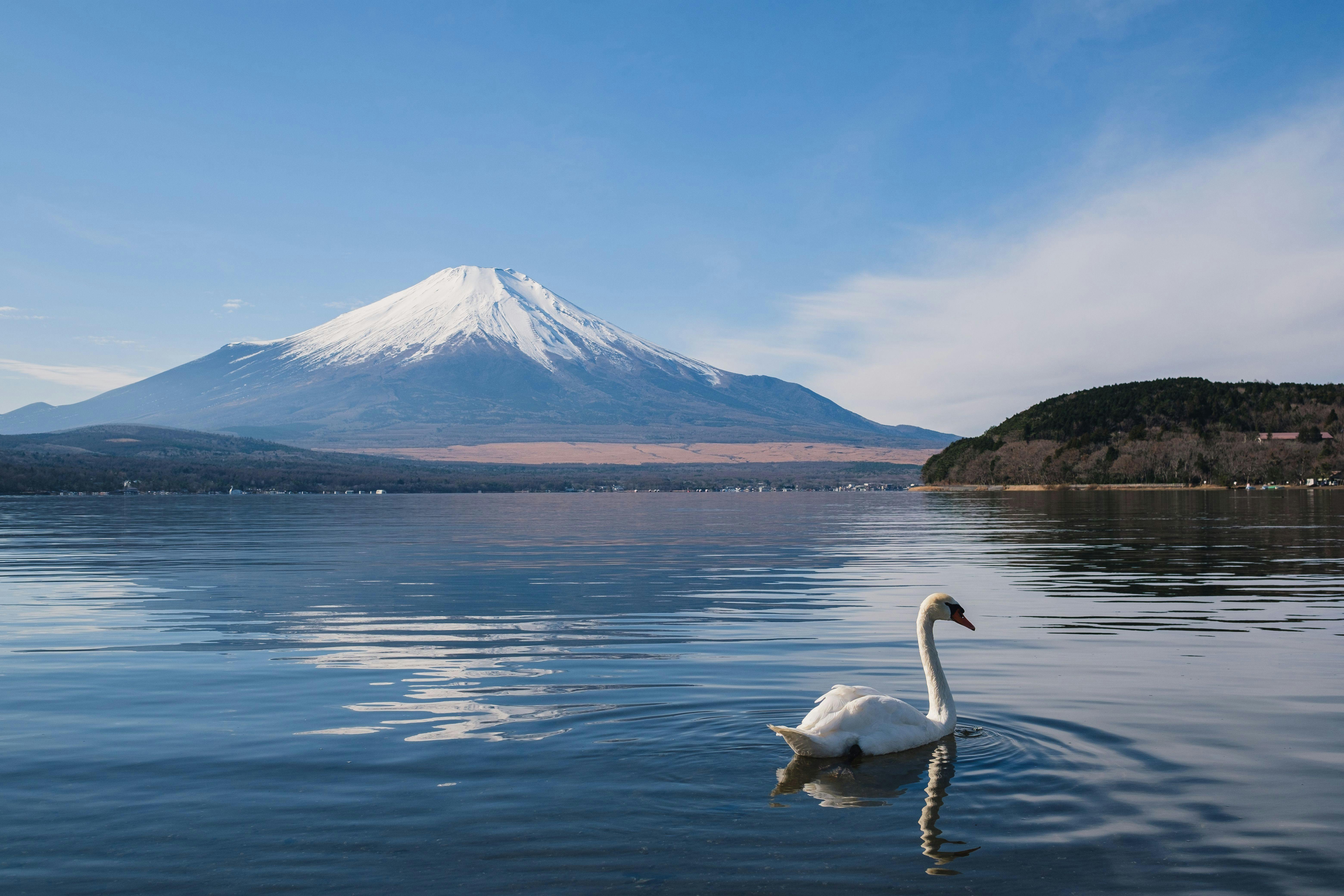 22年 山中湖で人気の観光 お出かけスポット 30選 Yahoo トラベル