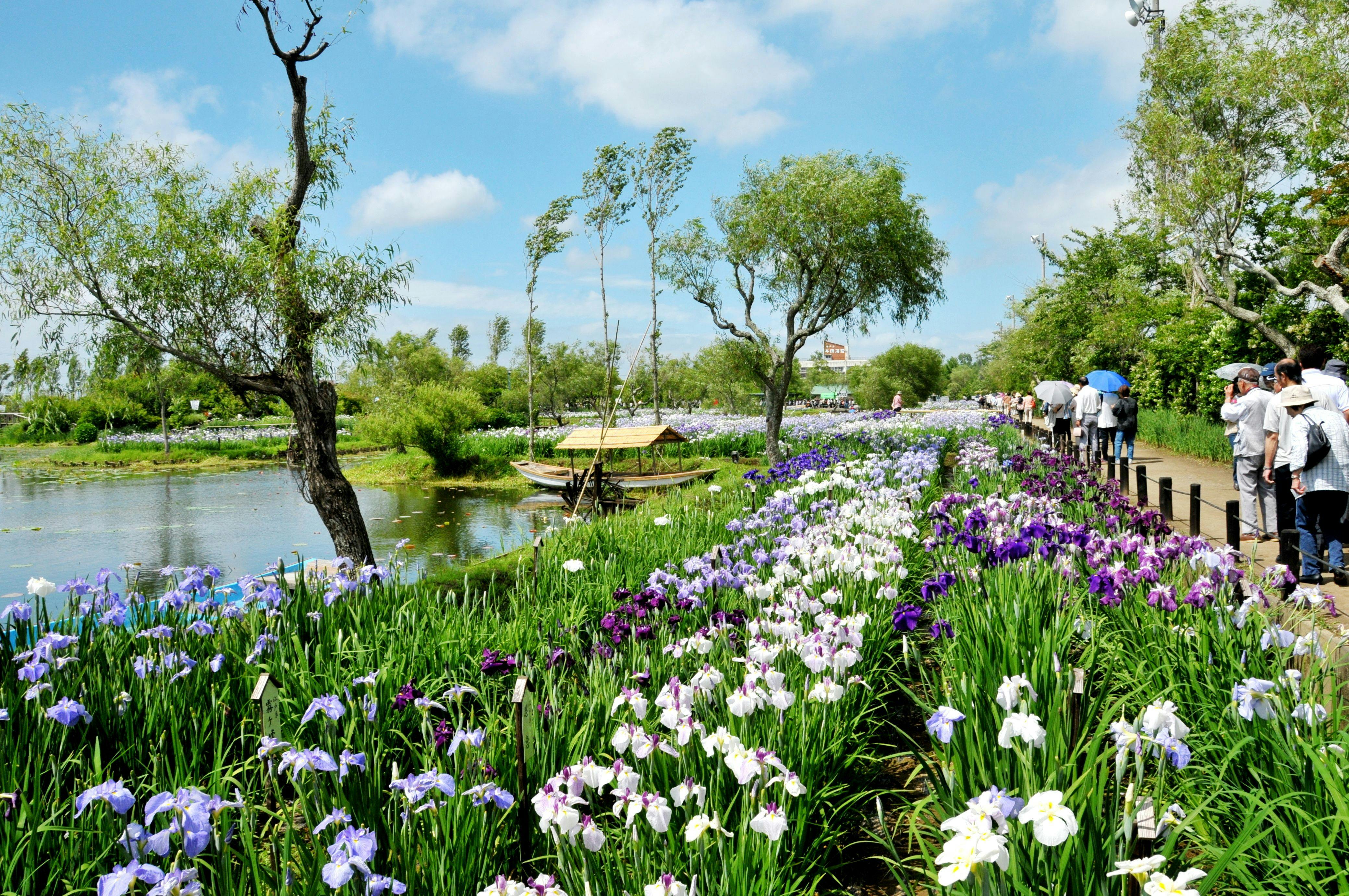 22年 北佐久郡立科町の植物園で行きたい 北佐久郡立科町旅行で人気のおすすめスポット Yahoo トラベル