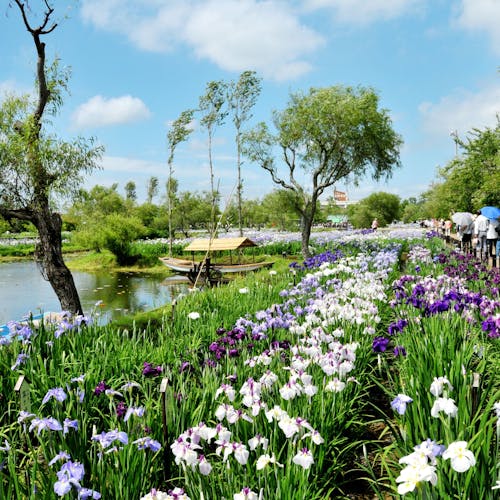 22年 北佐久郡立科町の植物園で行きたい 北佐久郡立科町旅行で人気のおすすめスポット Yahoo トラベル 22年 北佐久郡立科町の植物園で行きたい 北佐久郡立科町旅行で人気のおすすめスポット Yahoo トラベル