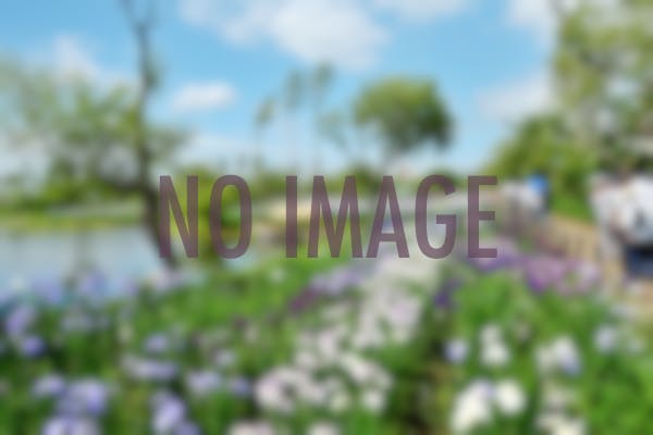 泉ボタニカルガーデン 宮城 仙台 おすすめの人気観光 お出かけスポット Yahoo トラベル 泉ボタニカルガーデン 宮城 仙台 おすすめの人気観光 お出かけスポット Yahoo トラベル