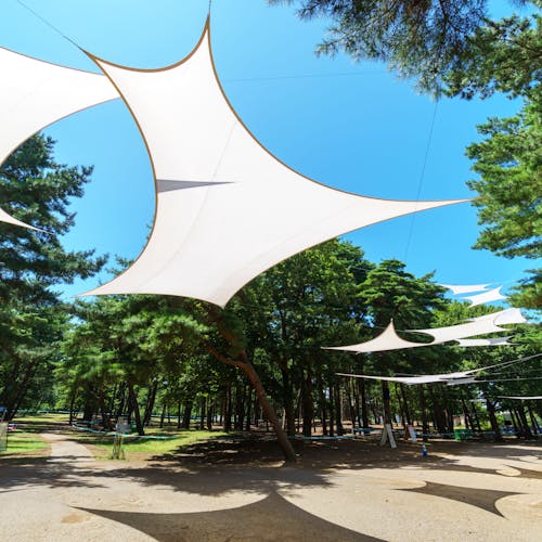 21年 京都市左京区のその他のレジャー アウトドア施設で行きたい名所 京都市左京区旅行おすすめ人気スポット Yahoo トラベル 21年 京都市左京区のその他のレジャー アウトドア施設で行きたい名所 京都市左京区旅行おすすめ人気スポット Yahoo トラベル