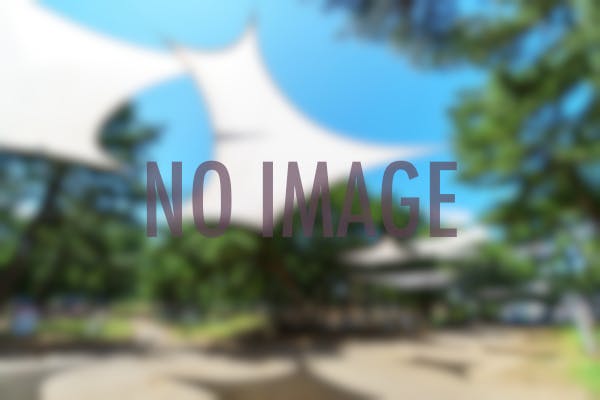 ドッグランなかま 北九州店 福岡県 おすすめ人気スポット Yahoo トラベル ドッグランなかま 北九州店 福岡県 おすすめ人気スポット Yahoo トラベル