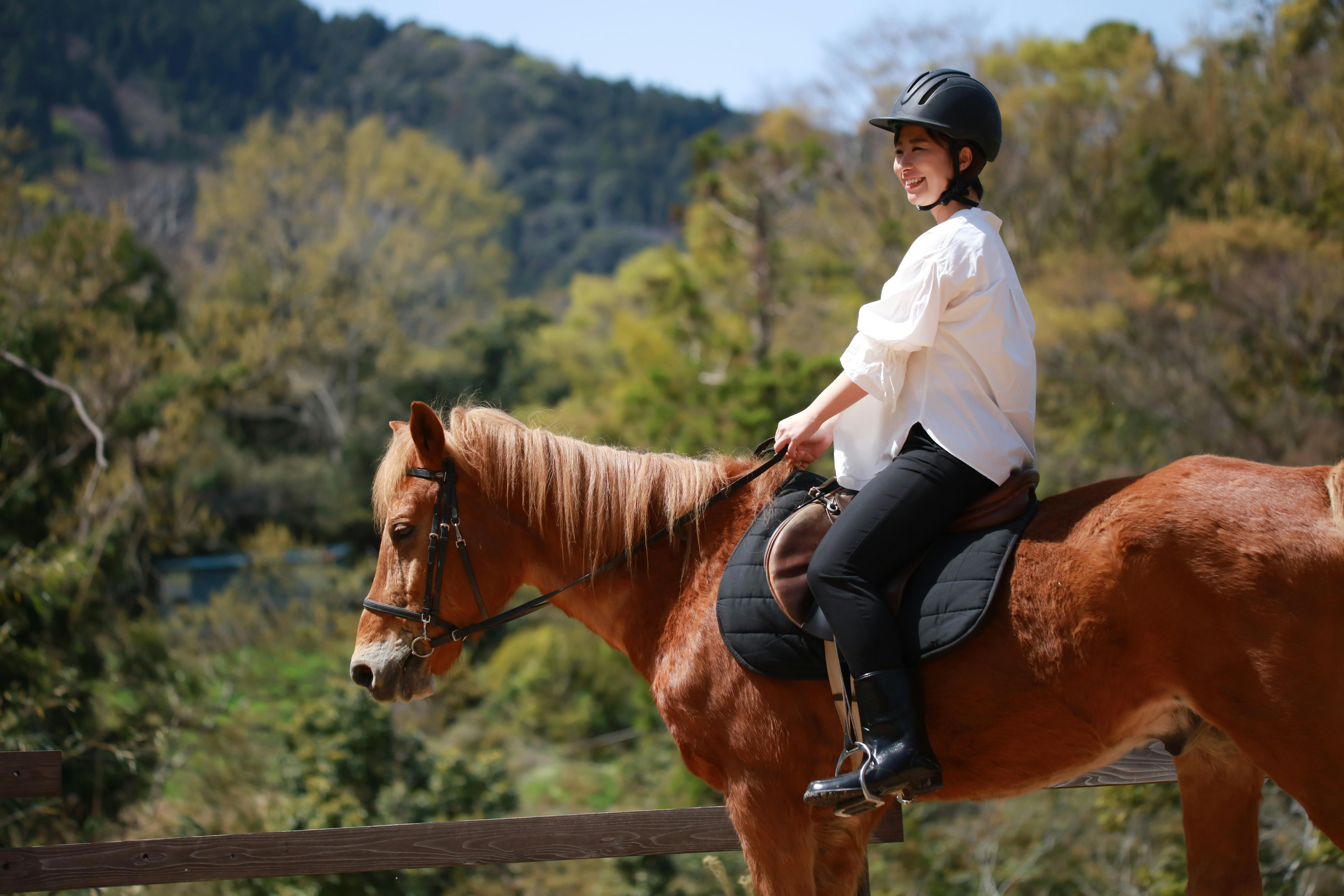 乗馬クラブ スタリオン ステーブル | 香川 おすすめの人気観光