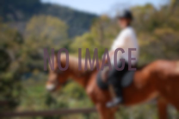 全国の乗馬クラブ 旅行で人気の観光スポットから普段のお出かけスポットまで日本各地の名所をご紹介 Yahoo トラベル 全国の乗馬クラブ 旅行で人気の観光スポットから普段のお出かけスポットまで日本各地の名所をご紹介 Yahoo トラベル