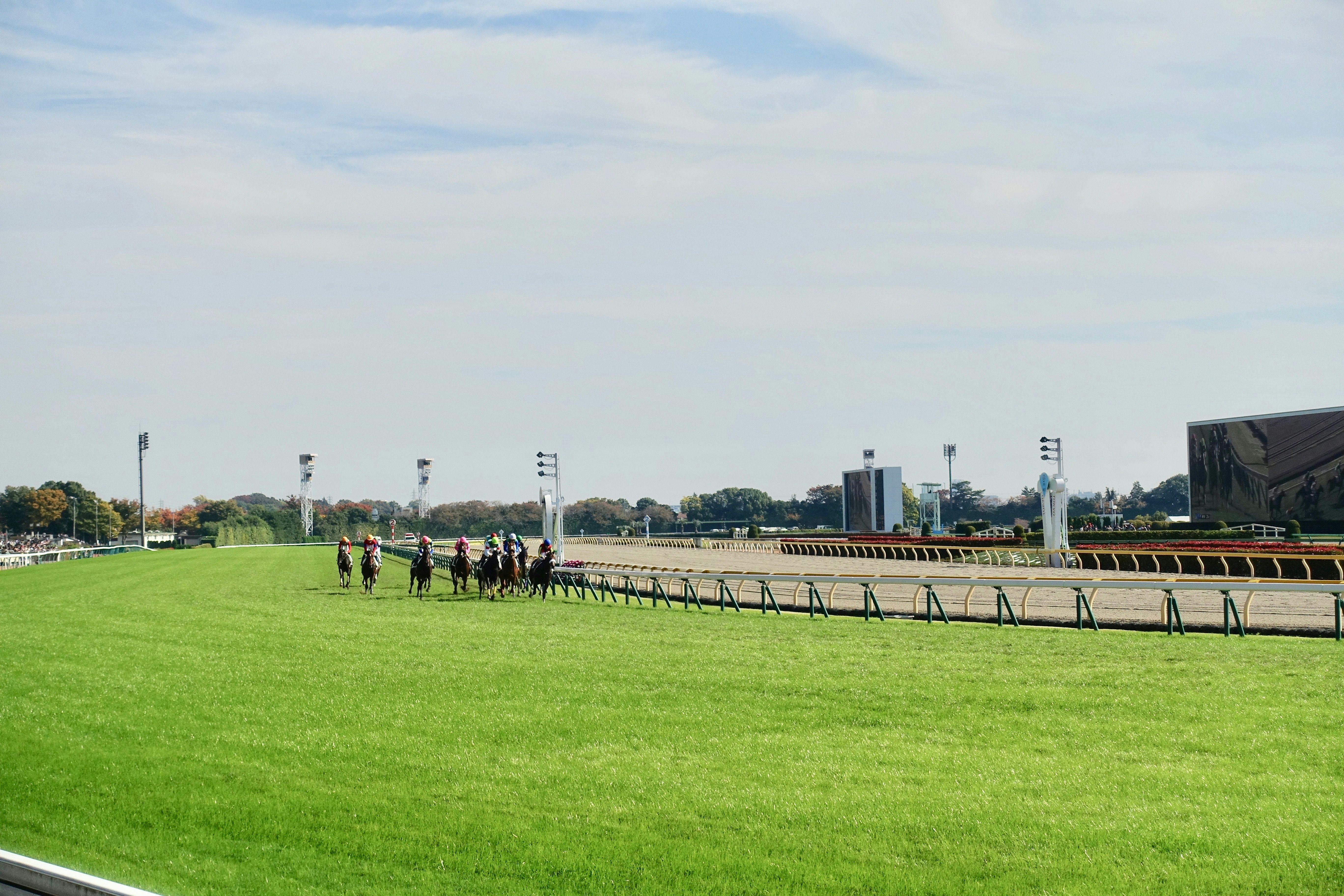 全国の競馬/競輪/競艇/オートレース場】旅行で人気の観光