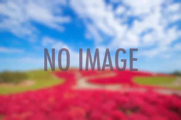 青山高原 三重 伊賀 おすすめの人気観光 お出かけスポット Yahoo トラベル 青山高原 三重 伊賀 おすすめの人気観光 お出かけスポット Yahoo トラベル