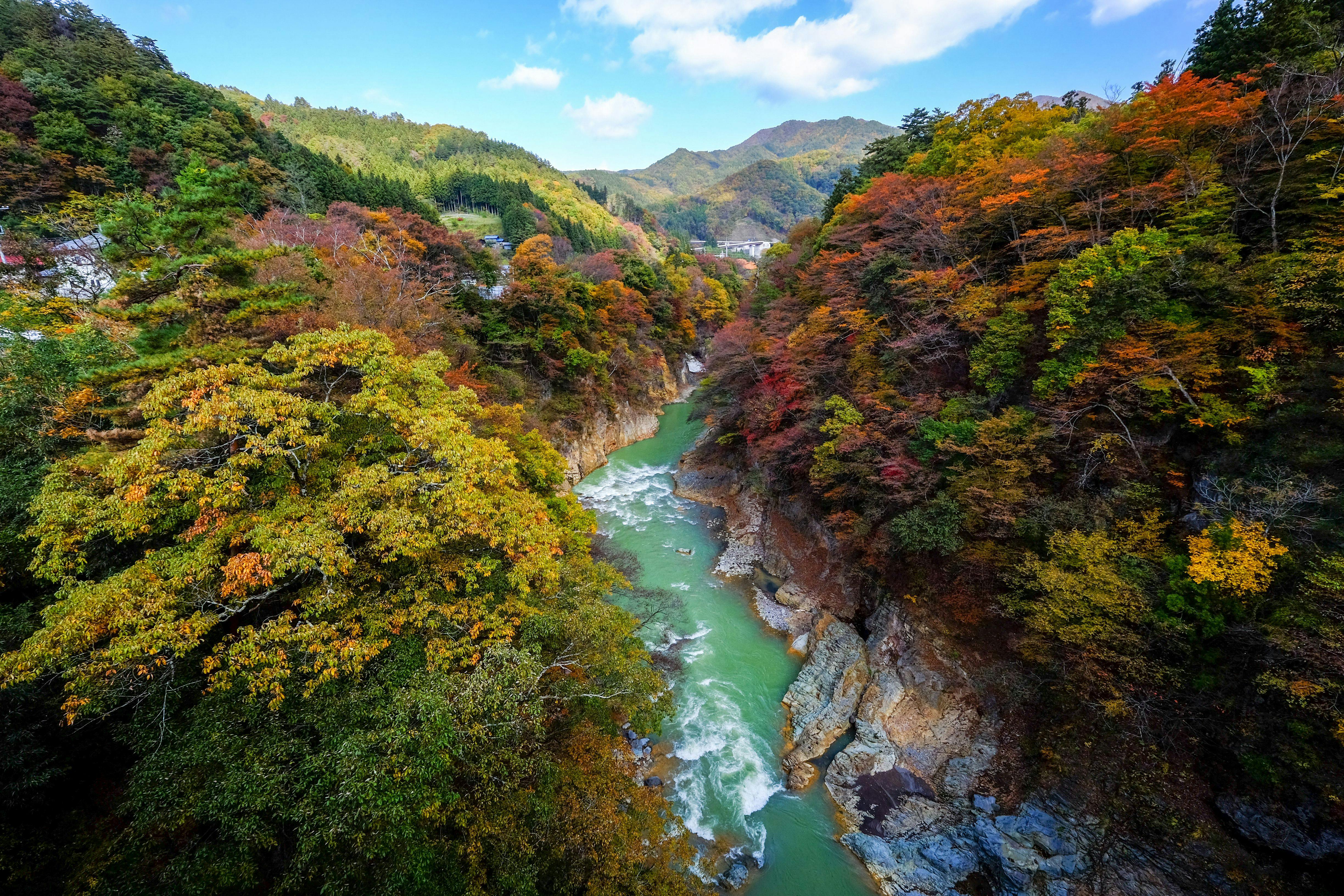日本の風景写真「山渓カラーデラックス」（大判）全6冊フル