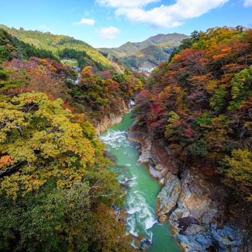 22年 那珂川市の渓谷で行きたい 那珂川市旅行で人気のおすすめスポット Yahoo トラベル 22年 那珂川市の渓谷で行きたい 那珂川市旅行で人気のおすすめスポット Yahoo トラベル