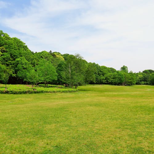 Drozebkvctignm Drozebkvctignm