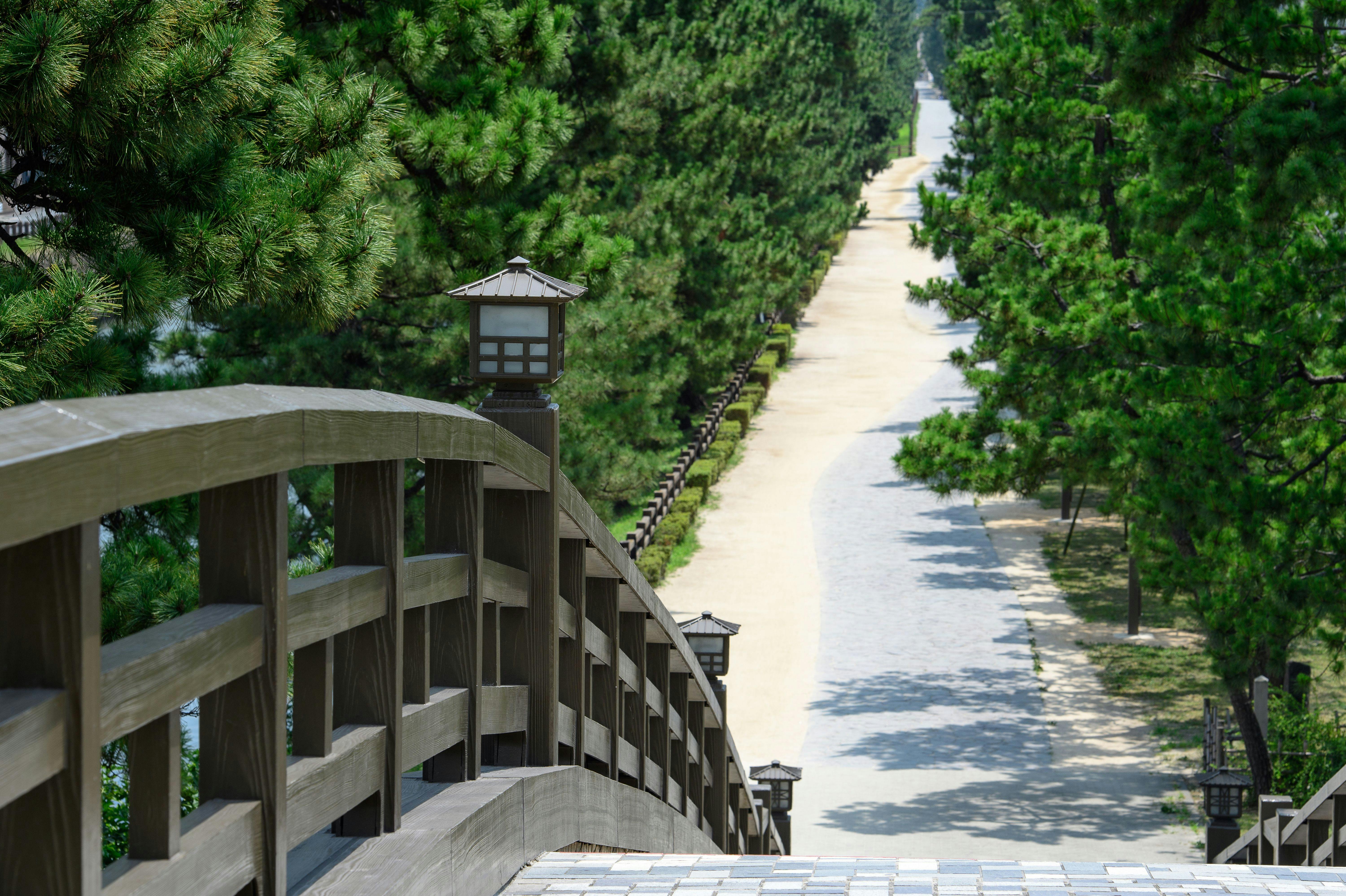 2026年】静岡県藤枝市で人気の観光・お出かけスポット 14選 - Yahoo