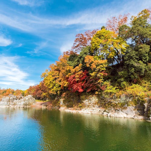 21年 埼玉県のその他の花の名所で行きたい名所 埼玉県旅行おすすめ人気スポット Yahoo トラベル 21年 埼玉県のその他の花の名所で行きたい名所 埼玉県旅行おすすめ人気スポット Yahoo トラベル