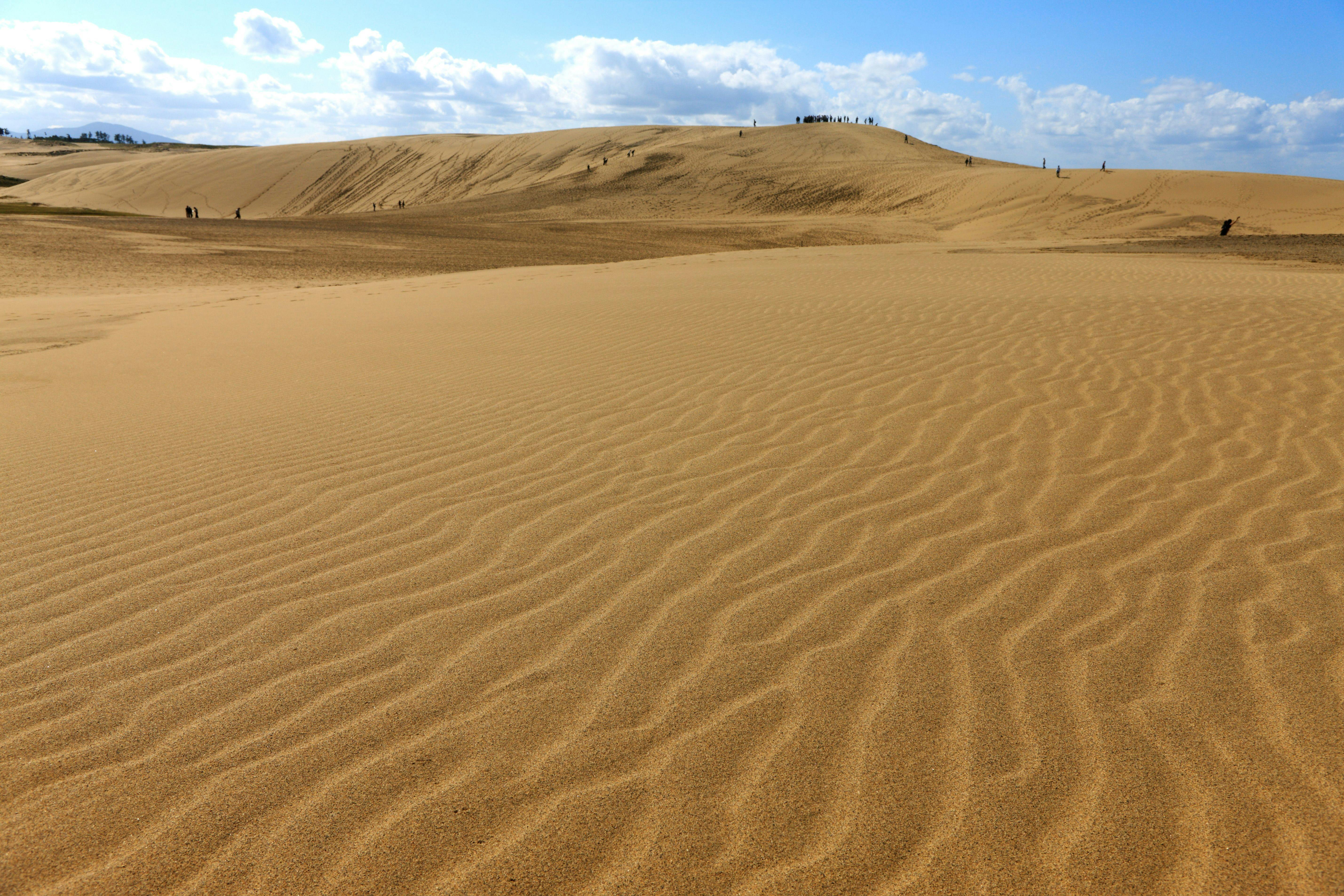 21年 鳥取県の遊園地 テーマパークで行きたい名所 鳥取県旅行おすすめ人気スポット Yahoo トラベル