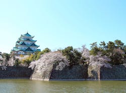 22年 名古屋で人気の観光 お出かけスポット 30選 Yahoo トラベル 22年 名古屋で人気の観光 お出かけスポット 30選 Yahoo トラベル