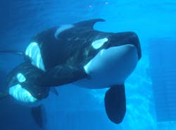 22年 愛知県名古屋市港区で人気の観光 お出かけスポット 25選 Yahoo トラベル 22年 愛知県名古屋市港区で人気の観光 お出かけスポット 25選 Yahoo トラベル