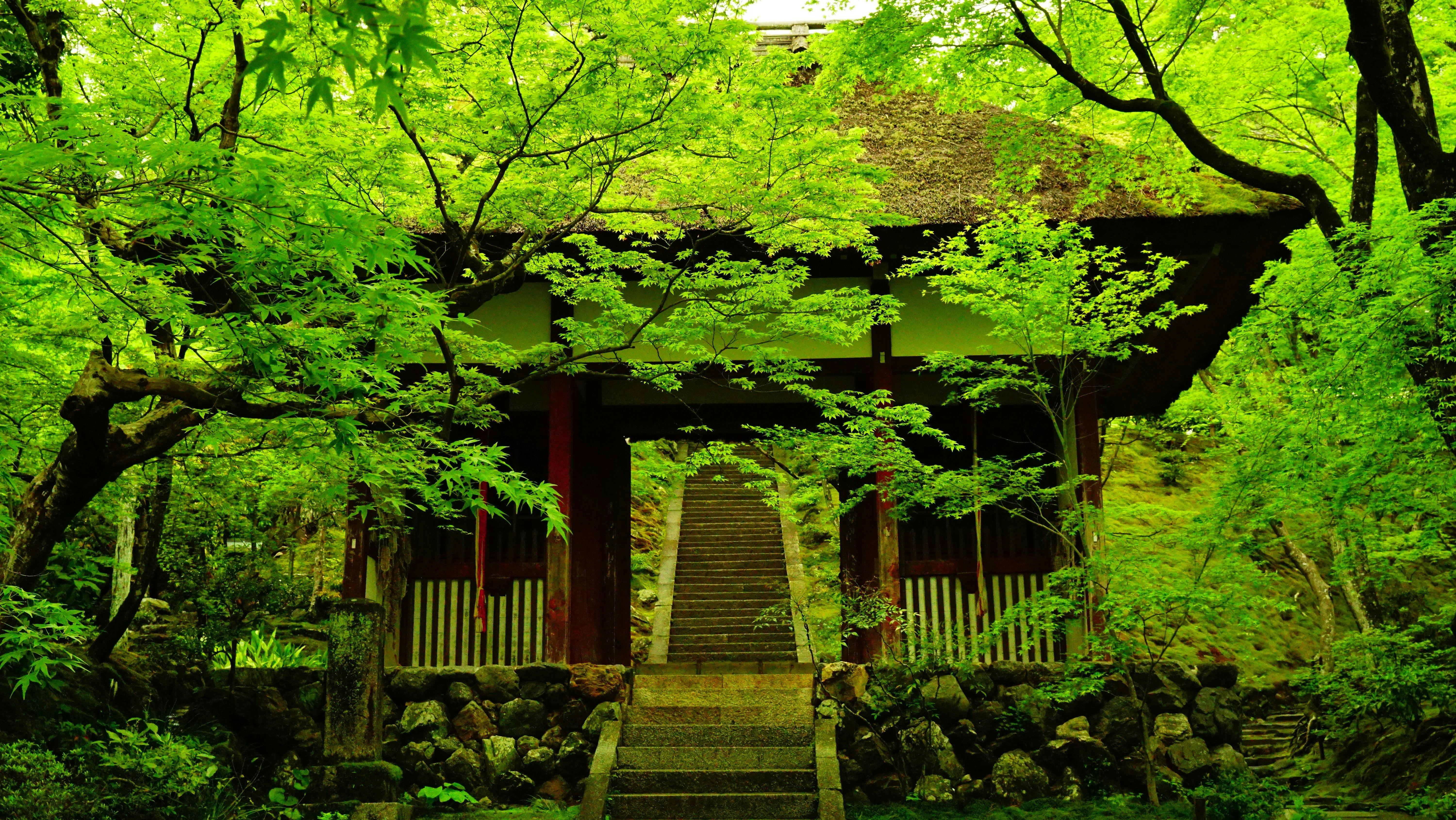 祇 王寺 京都