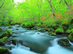 22年 十和田で人気の観光 お出かけスポット 30選 Yahoo トラベル 22年 十和田で人気の観光 お出かけスポット 30選 Yahoo トラベル