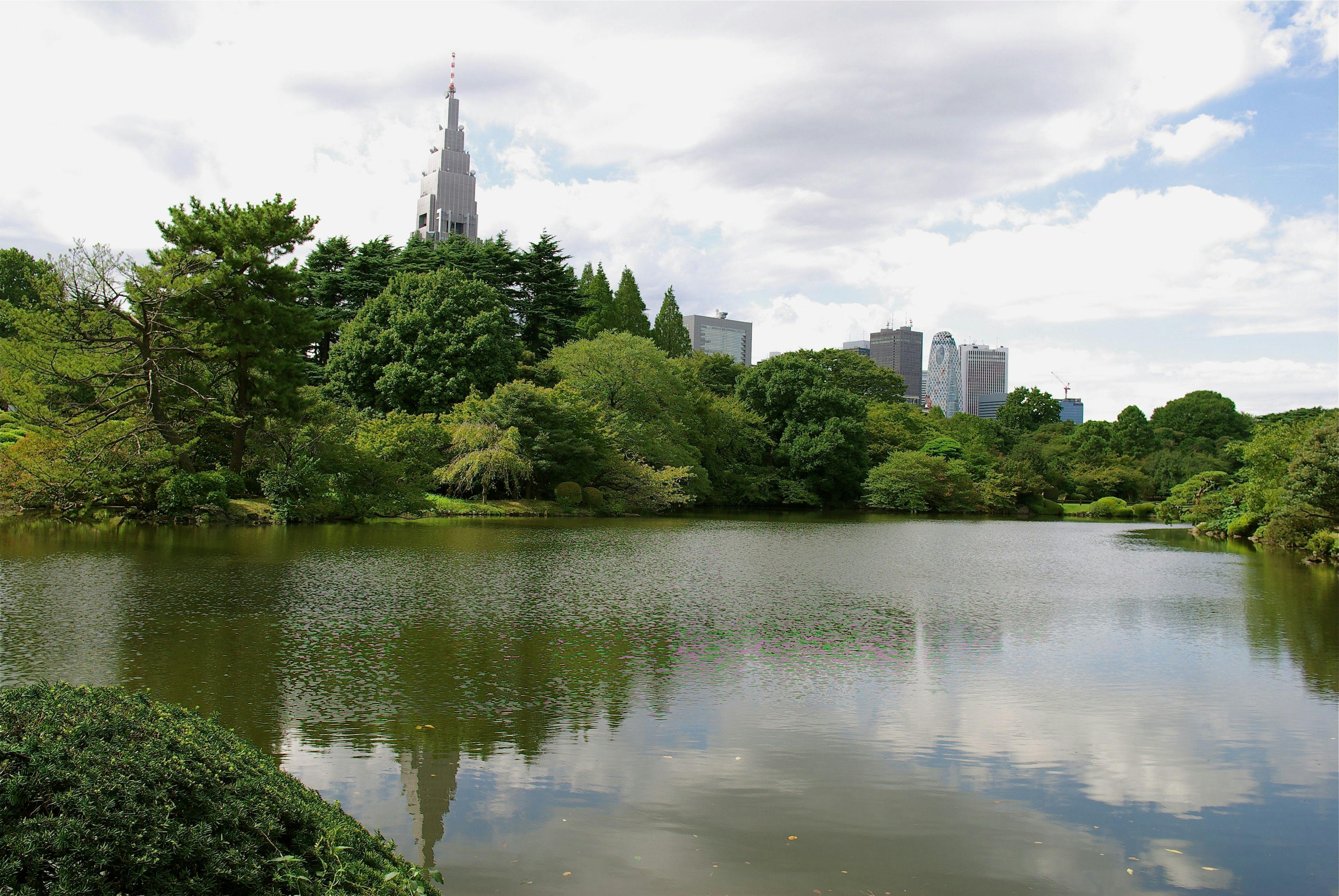 新宿御苑 東京 新宿 おすすめの人気観光 お出かけスポット Yahoo トラベル 新宿御苑 東京 新宿 おすすめの人気観光 お出かけスポット Yahoo トラベル