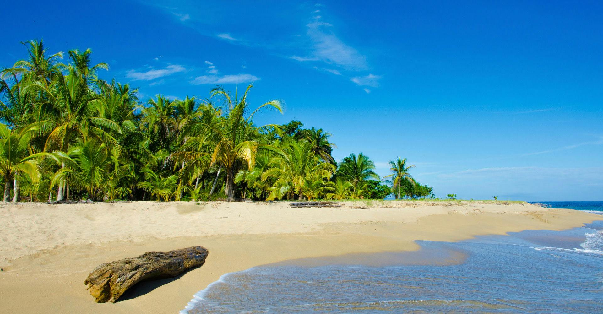 コスタリカのホテル 海外ホテル予約 一休 Com