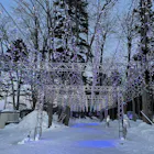 クチコミ 評判 ニュー阿寒ホテル 一休 Com クチコミ 評判 ニュー阿寒ホテル 一休 Com