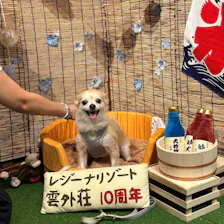 クチコミ画像