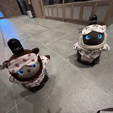 クチコミ画像