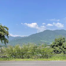 クチコミ画像
