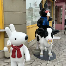 クチコミ画像
